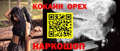 сатива Новодвинск
