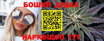 сатива Новодвинск