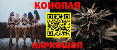 сатива Новодвинск