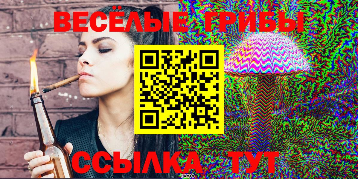 Псилоцибиновые грибы Psilocybe  Псилоцибиновые грибы Psilocybine cubensis  Соль-Илецк  Вход с VPN 